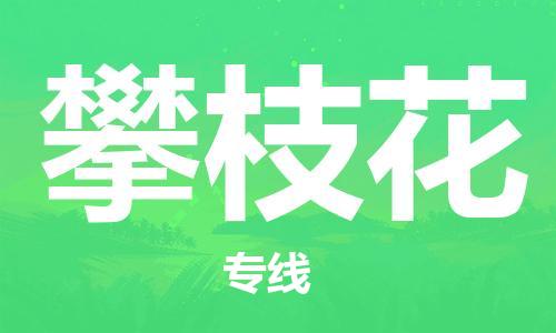 惠州到攀枝花物流專線_惠州至攀枝花物流公司_惠州到攀枝花貨運專線