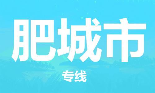 保定至肥城市貨運(yùn)專線：普通貨物運(yùn)輸專線「全境閃送」